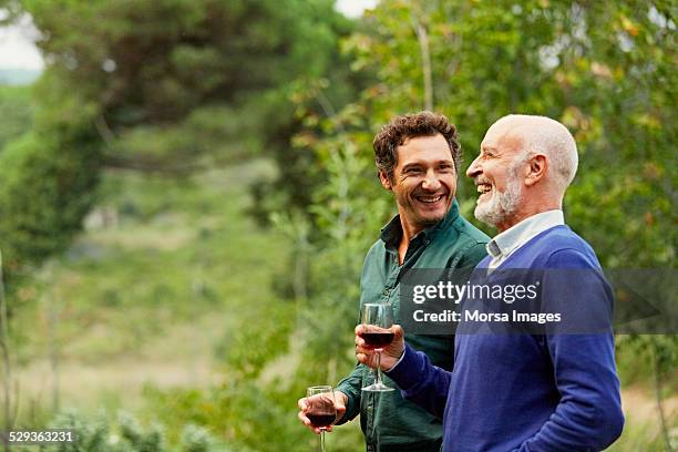 father and son having red wine in park - man with his dad stock-fotos und bilder