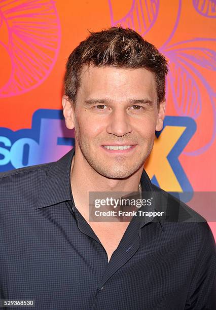 Actor David Boreanaz arrives at the FOX 2010 summer Television Critics Association all-star party held at Pacific Park on the Santa Monica Pier.