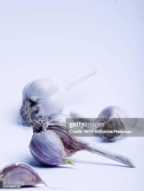 close-up of garlic - commonwealth of independent states stock pictures, royalty-free photos & images