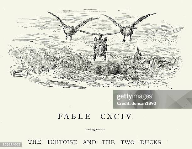 stockillustraties, clipart, cartoons en iconen met la fontaine's fables - tortoise and the two ducks - turtle