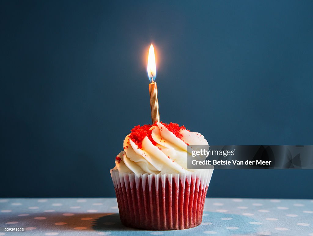 Still life of cupcake with one candle.
