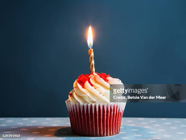 still life of cupcake with one candle. - birthday stock pictures, royalty-free photos & images