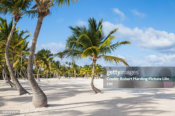 dominican republic, punta cana, cap cana, juanillo beach - dominican republic santo domingo stock pictures, royalty-free photos & images