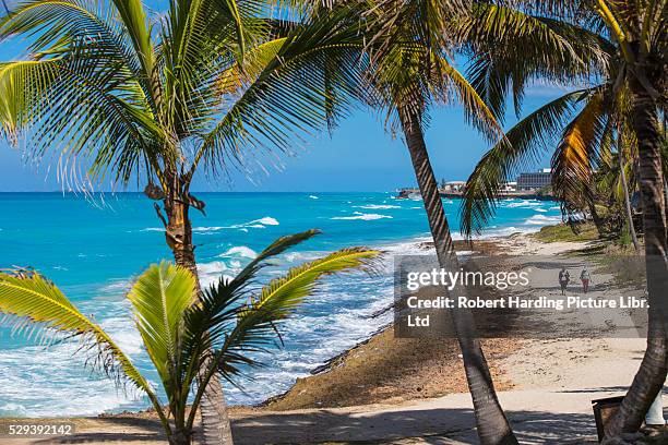 cuba, varadero, varadero beach - varadero beach stock pictures, royalty-free photos & images