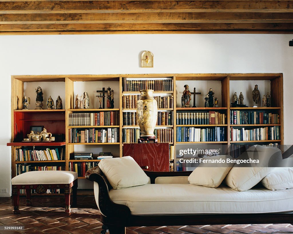 Recamier in Front of Wooden Bookcase