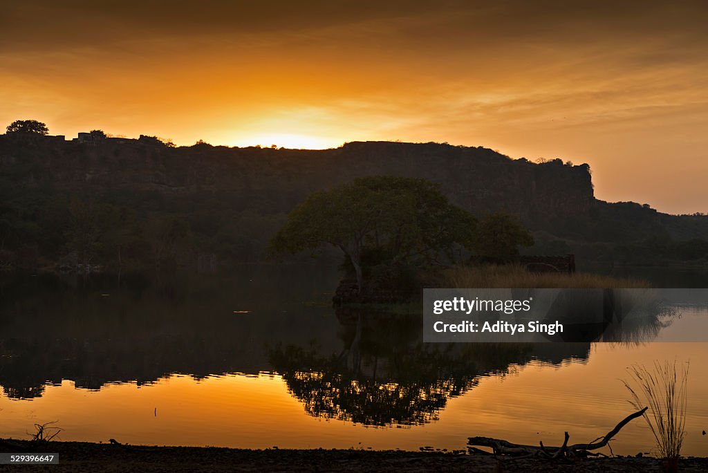 Ranthambhore fort at sunset