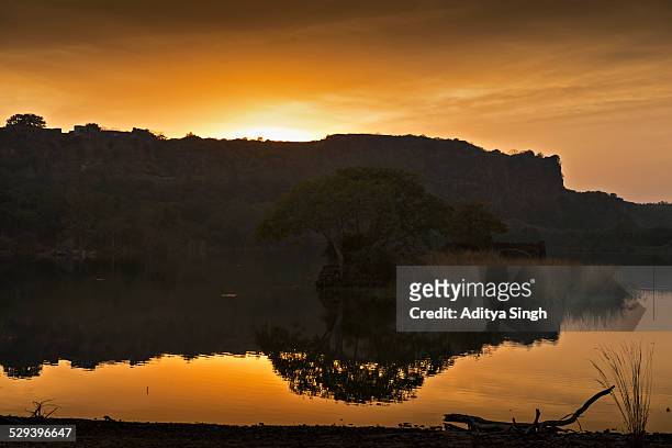 ranthambhore fort at sunset - ranthambore fort stock pictures, royalty-free photos & images