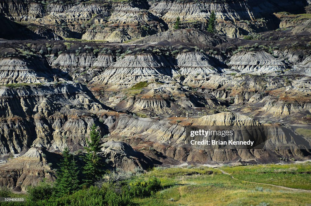 Horseshoe Canyon Landscape