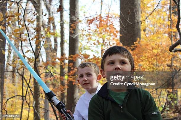 best friends playing in the autumn woods - light sword stock pictures, royalty-free photos & images