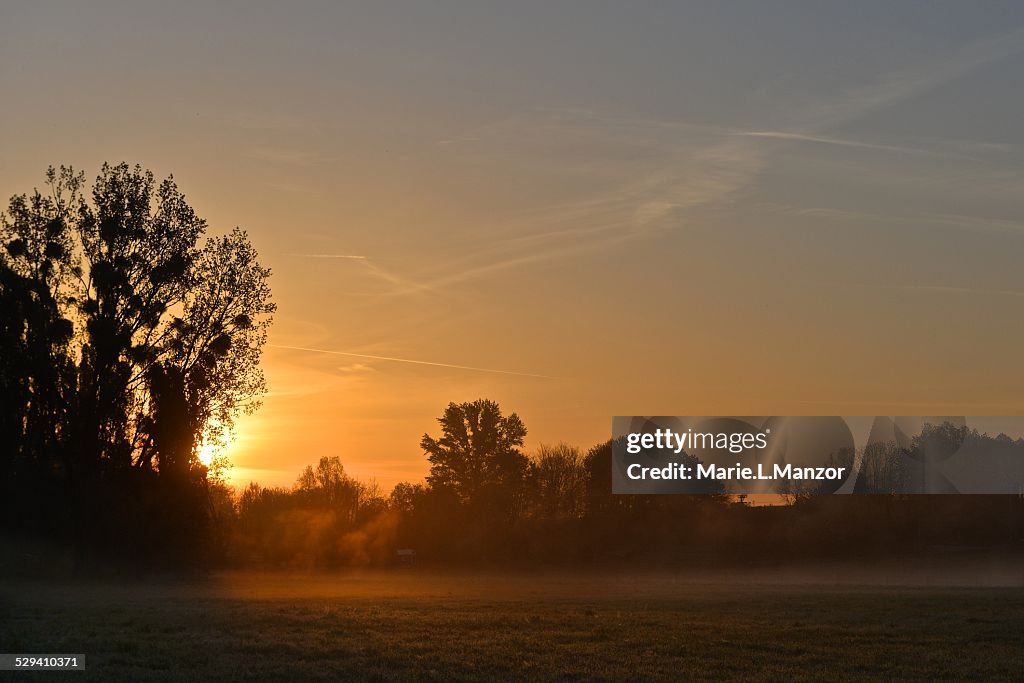 Sunrise and mist