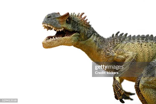 allosaurus plastic model roaring at camera - allosaurus stock pictures, royalty-free photos & images