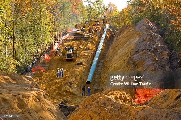pipeline being installed in forest - archeology foto e immagini stock