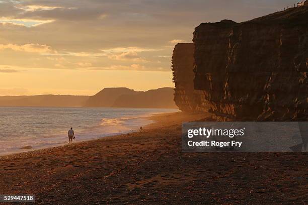 jurassic cliffs - jurassic coast world heritage site stock pictures, royalty-free photos & images
