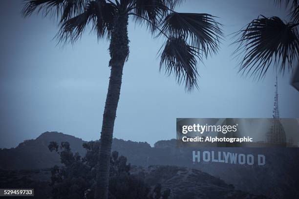 hollywood sign - beverly hills sign stock pictures, royalty-free photos & images