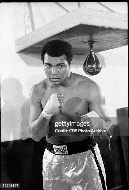 Ali Hand Rising 2,213 Muhammad Ali (Actor) Stock Photos, High-Res Pictures, and Images ...
