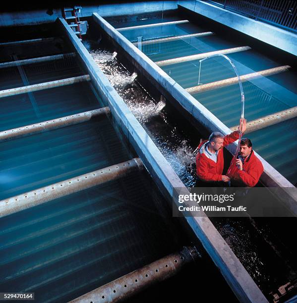 water treatment plant - crazy pool foto e immagini stock