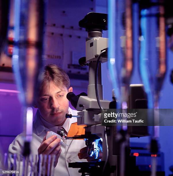 parasite research at a water plant - medical accuracy stock pictures, royalty-free photos & images