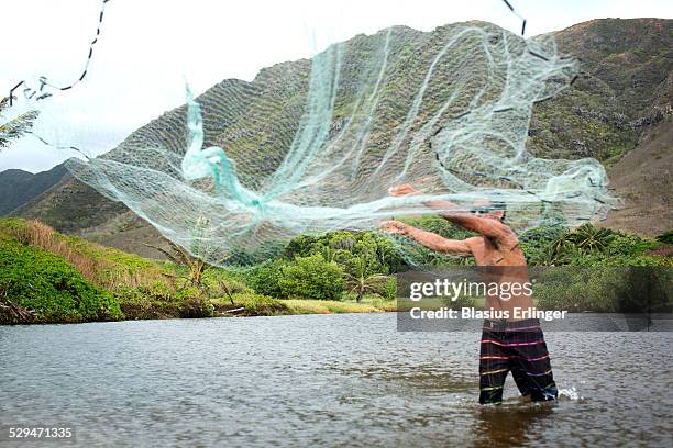 traditional hawaiian fishing - sustainable fishing stock pictures, royalty-free photos & images