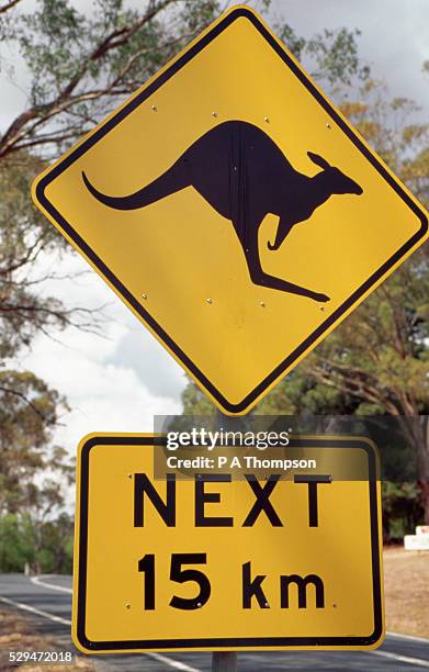 kangaroo road sign - animal crossing sign stockfoto's en -beelden