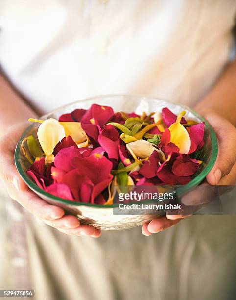 spa attendant holding a bowl of potpourri at samaya villas and spa resort - bali spa stock pictures, royalty-free photos & images