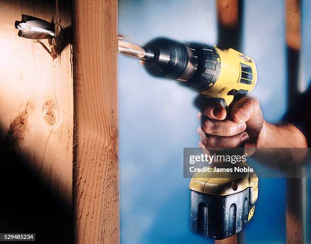 drilling through the wood - drill stockfoto's en -beelden