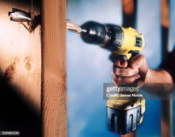 drilling through the wood - broca imagens e fotografias de stock