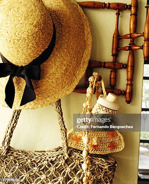 45 Spindle Seashell Stock Photos, High-Res Pictures, and Images - Getty ...