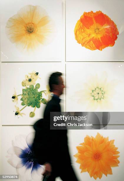 Man walks past exhibits at the "Photo-London 2005" exhibition at the Royal Academy on May 19, 2005 in London. Involving over 50 galleries and...
