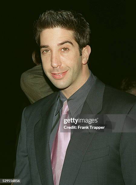 David Schwimmer, star of the film, arrives at the Mann's Plaza Theater.