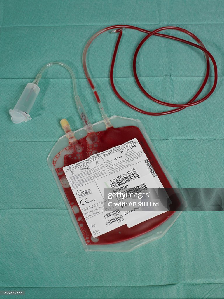 Cord blood for stem cell harvesting