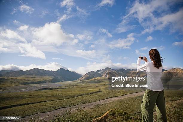 woman photographing valley - denali nationalpark stock-fotos und bilder