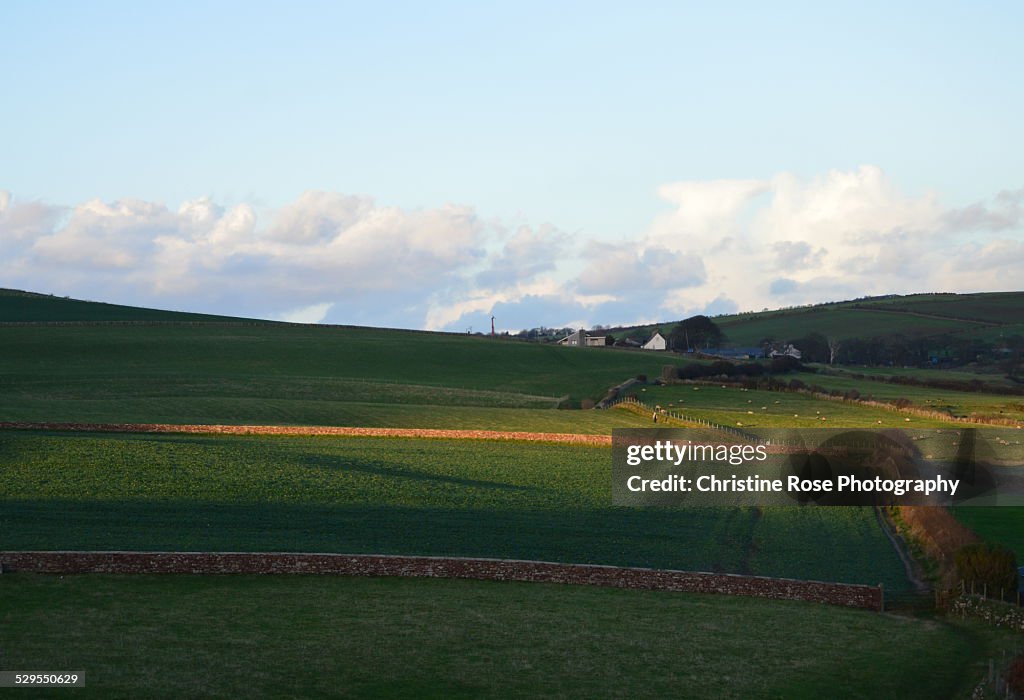 Across the fields