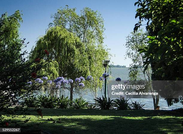 In The Chascomus Ponds Edge High-Res Stock Photo