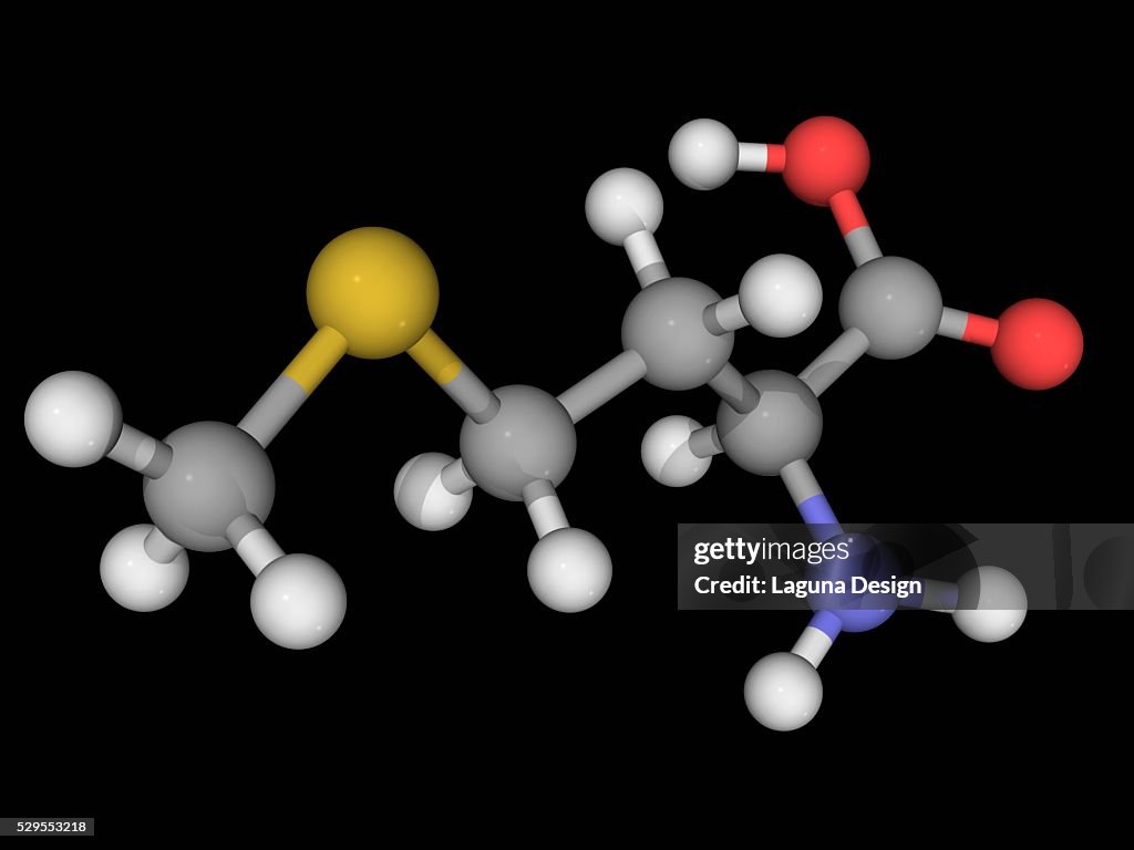 Methionine molecule