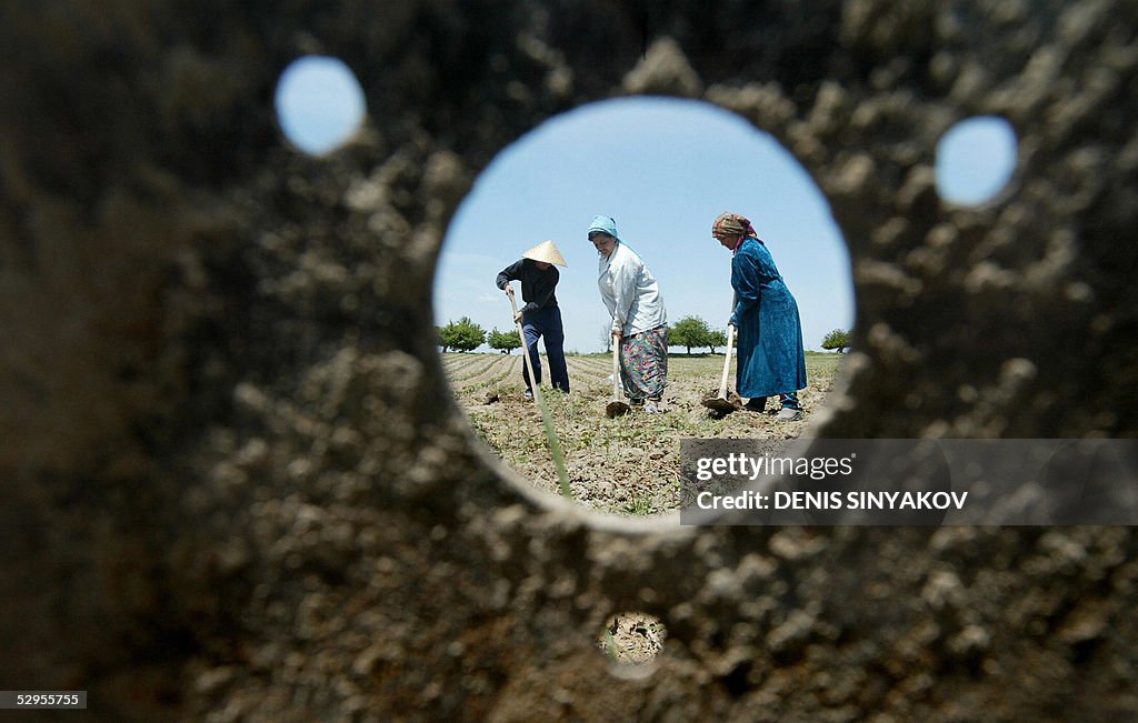 Uzbek farmers are seen through a hoe as
