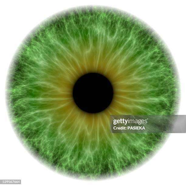 green eye, artwork - iris 個照片及圖片檔