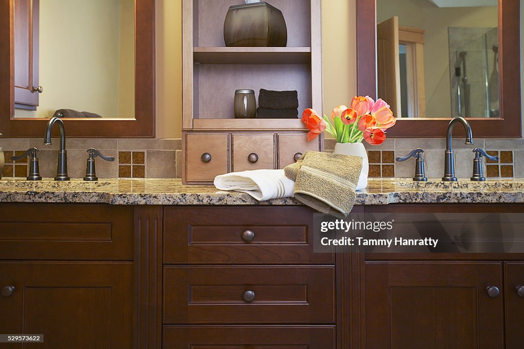 Bathroom counter