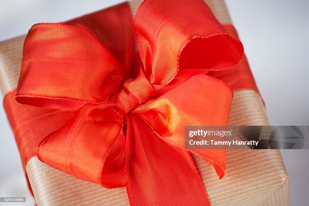 Festive Red Ribbon Bow