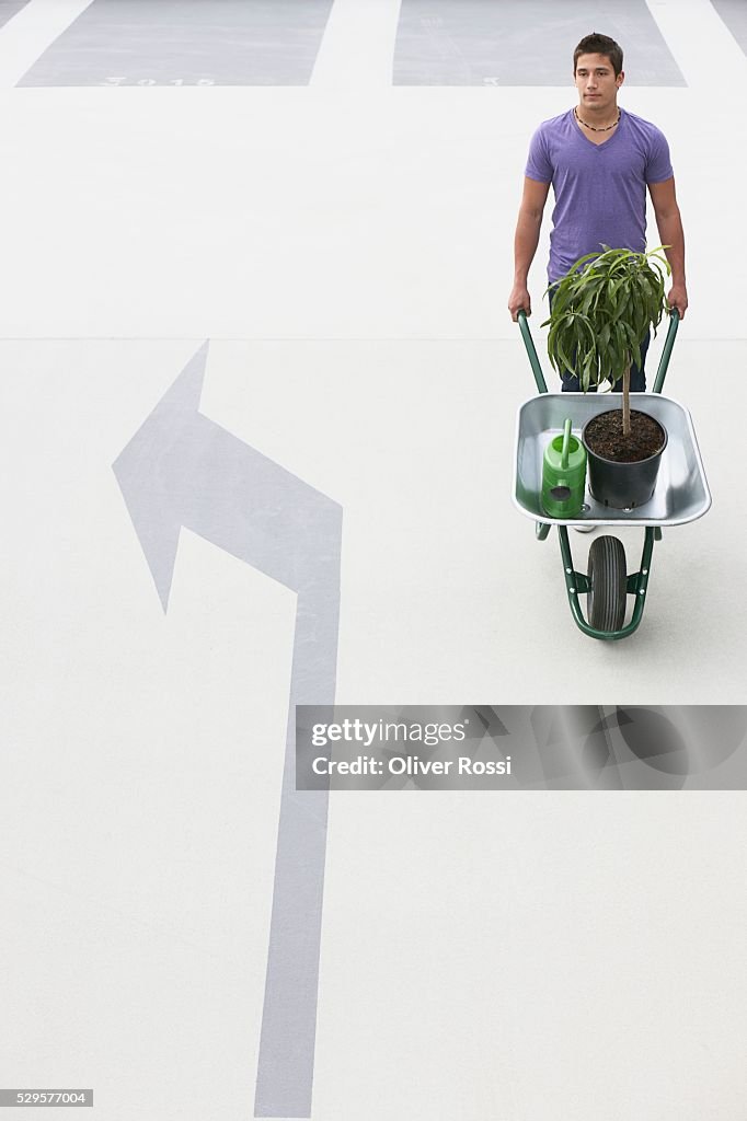 Man with Potted Plant in Wheelbarrow