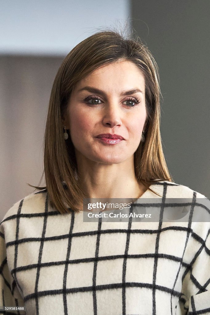 Queen Letizia of Spain Attends Red Cross World Day in Albacete