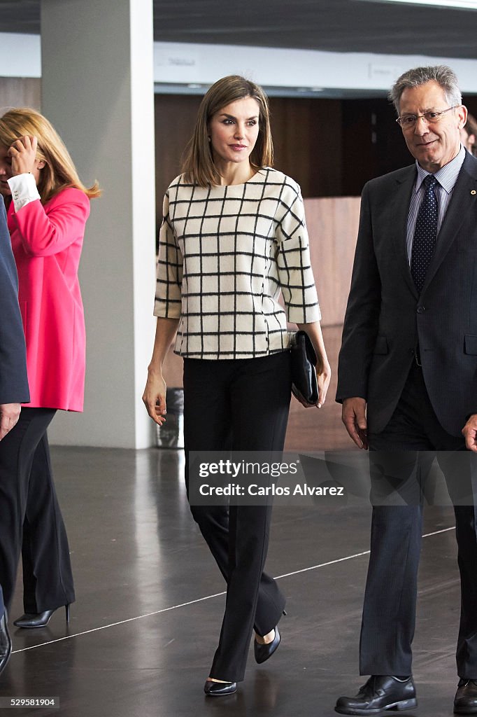 Queen Letizia of Spain Attends Red Cross World Day in Albacete