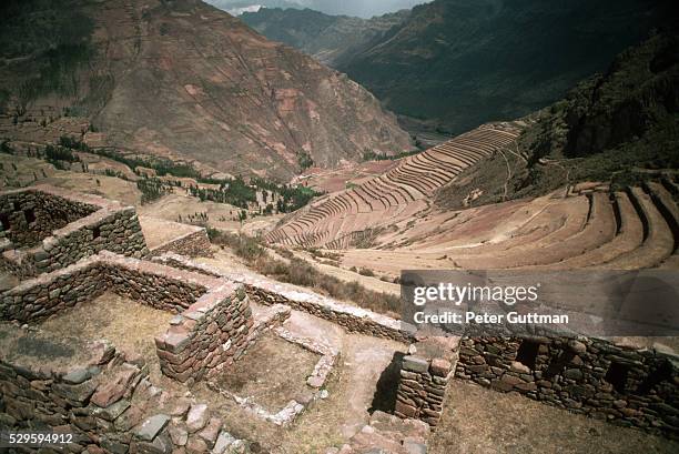 ruins of pisac - pisac stock pictures, royalty-free photos & images