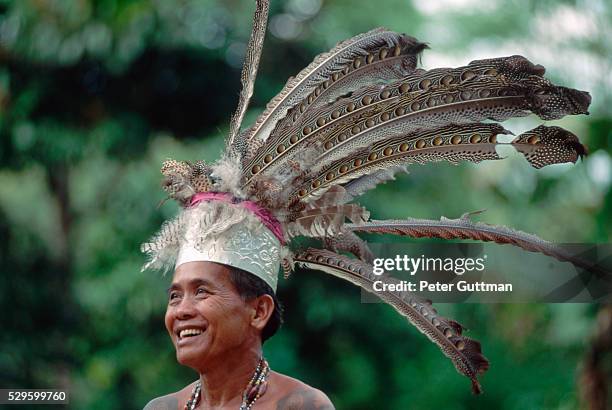 iban warrior wearing headdress of feathers - iban stockfoto's en -beelden