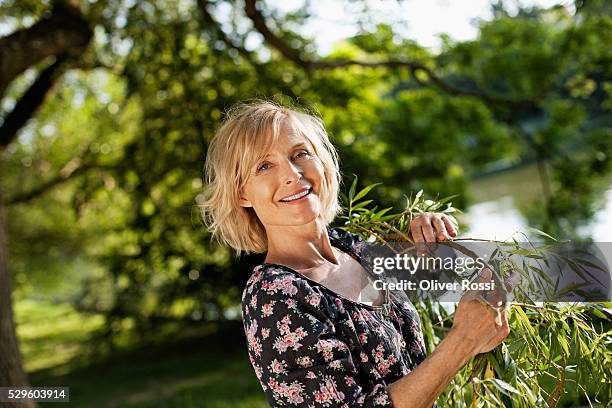 woman carrying willow branches - willow stock pictures, royalty-free photos & images