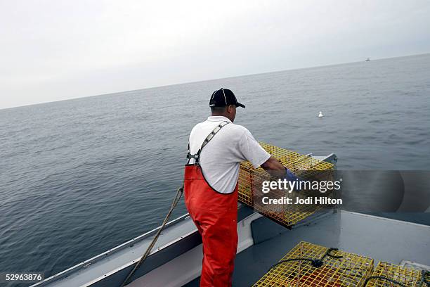 Juan Pedro Umana, deck hand for the Ashley Ann, prepares traps with bait and stacking them on the deck in preparation for launch May 20, 2005 in the...