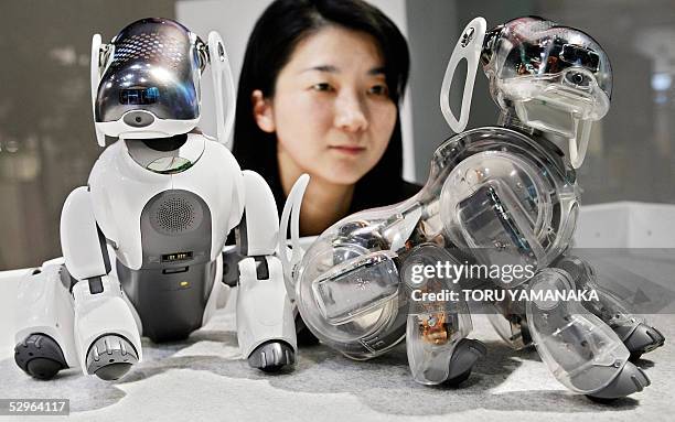 Woman admires the latest model of AIBO "ERS-7M2" and its skeleton-model "ERS-7" of Japan's Sony Corporation during an event to commemorate the sixth...