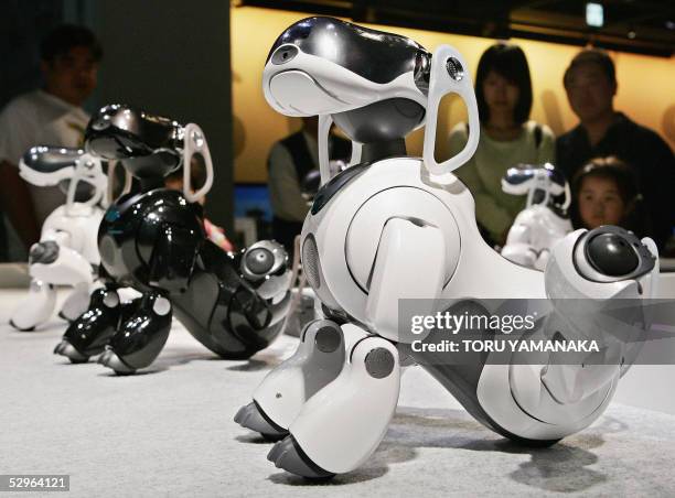 People watch a performance by the latest model of AIBO "ERS-7M2" of Japan's Sony Corporation during an event to commemorate the sixth anniversary of...