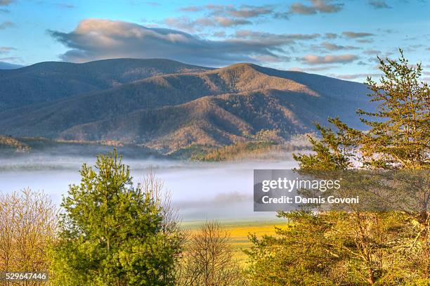 sunlight on cades cove mountains - parco nazionale great smoky mountains foto e immagini stock