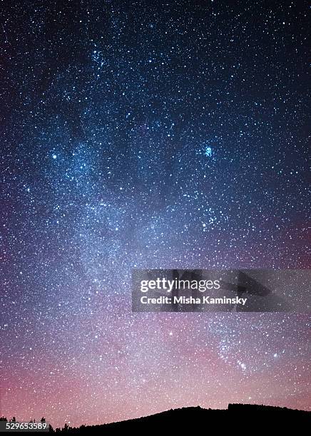 cielo nocturno en el bosque - star field fotografías e imágenes de stock