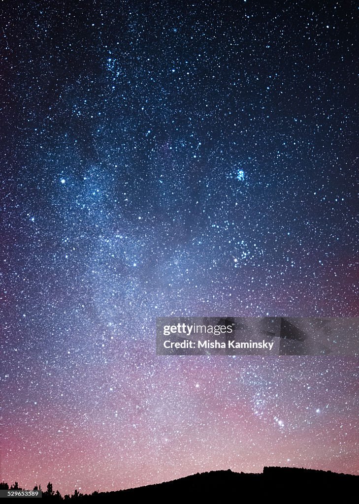 Night sky over the forest